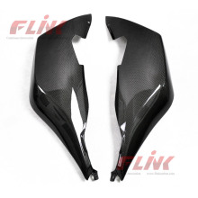 K1200S Carbon Fiber Side Panel für BMW